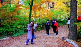 추천갤러리 - 내소사 하행길에,,(2018.11.11일)