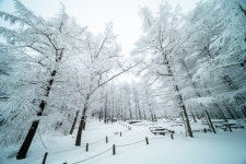 추천갤러리 - 만항재