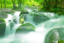 추천갤러리 - 물보라 피는날