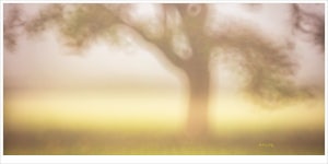 추천갤러리 - 가을 색을 만들다