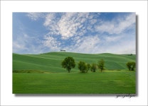 추천갤러리 - 푸른초원에서 님과함꼐