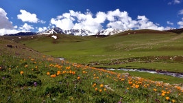 추천갤러리 - 천상 화원