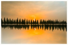 추천갤러리 - 메타세콰이아 길 반영