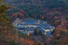 추천갤러리 - 해인사 야경