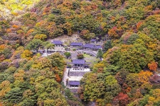 추천갤러리 - 청량산 청량사