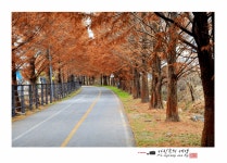 추천갤러리 - 메타스카이아길