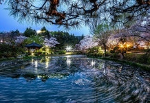 추천갤러리 - 보문정