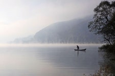 추천갤러리 - 물안개