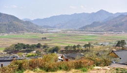 추천갤러리 - 악양 들판