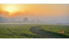 추천갤러리 - 영산강변의 아침2