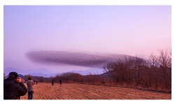 추천갤러리 - 가창오리