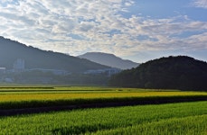 추천갤러리 - 들녘