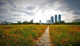 추천갤러리 - 태화강