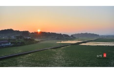 추천갤러리 - 들녘의 아침