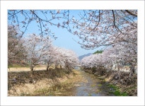 추천갤러리 - 귀여리 장암천