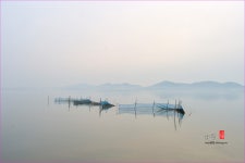 추천갤러리 - 어망