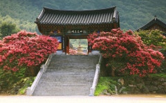 추천갤러리 - 표충사