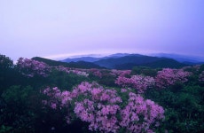 추천갤러리 - 덕유산