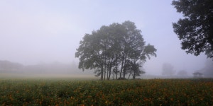 풍경갤러리 -  아침 情景  풍경갤러리 - " 아침 情景 "