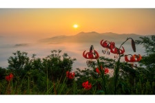 풍경갤러리 - 향기로여는아침