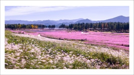 풍경갤러리 - 다산 좌학공원