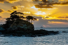 풍경갤러리 - 여의주 물고 승천하려는 용