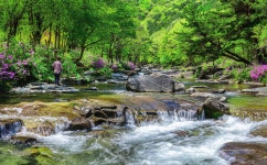 풍경갤러리 - 월성계곡