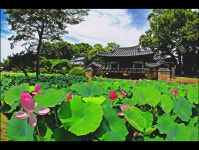 풍경갤러리 - 도암정의 여름