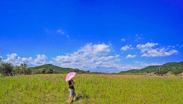 풍경갤러리 - 율곡 습지 공원