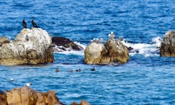 풍경갤러리 - 바다풍경