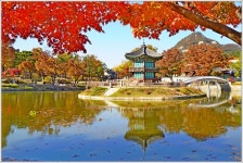 풍경갤러리 - 향원정