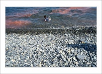 풍경갤러리 - 몽돌해수욕장