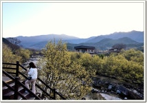 풍경갤러리 - 산동산수유