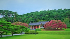 풍경갤러리 - 포충사