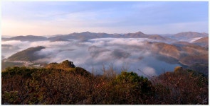 풍경갤러리 - 안개속 붕어섬