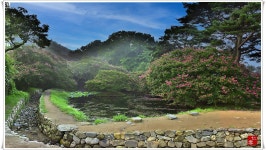 풍경갤러리 - 명옥헌