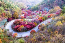 풍경갤러리 - 보발재
