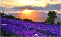 풍경갤러리 - 감악산