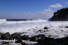 풍경갤러리 - 성난파도