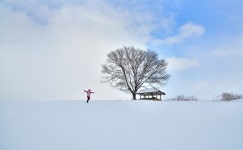 풍경갤러리 - 동심