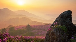 풍경갤러리 - 좋은아침