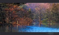 풍경갤러리 - 수채화