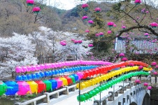 풍경갤러리 - 마곡사
