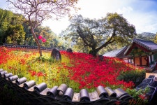 풍경갤러리 - 용천사