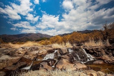 풍경갤러리 - 구레산수유마을