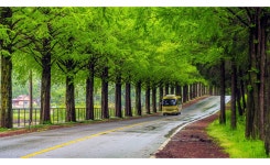 풍경갤러리 - 진안골 메타길