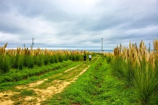 풍경갤러리 - 휠링의 길