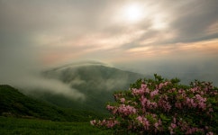 풍경갤러리 - 소백에서