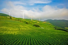 풍경갤러리 - 바람의 언덕(매봉산)