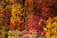 풍경갤러리 - 여섯 번째 : 나룻터 다중 촬영 - 2